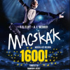 1600. előadását ünnepli a Macskák musical 2025-ben - Jegyek itt!