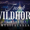 Frank Wildhorn és barátai musicalgála Budapesten a Margitszigen - Jegyek és fellépők itt!