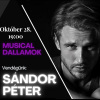 Musical dallamok Sándor Péterrel - Jegyek itt!