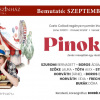 Pinokkió a Turay Ida Színházban - Jegyek és szereplők itt!